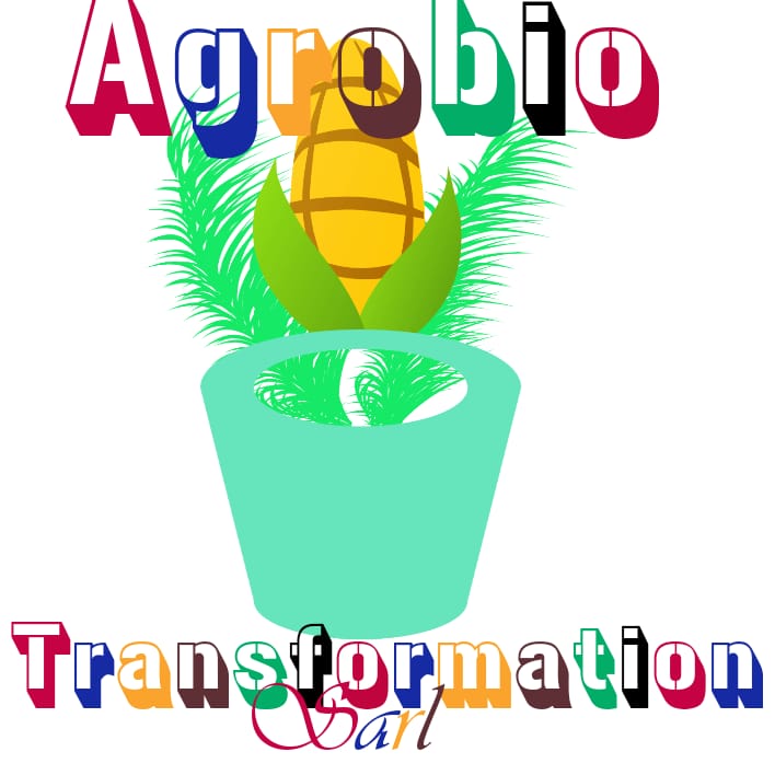 Agrobio Transformation